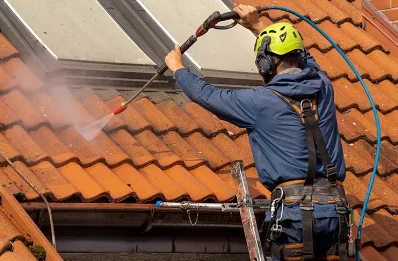 Démoussage et hydrofuge de toiture à Barberier